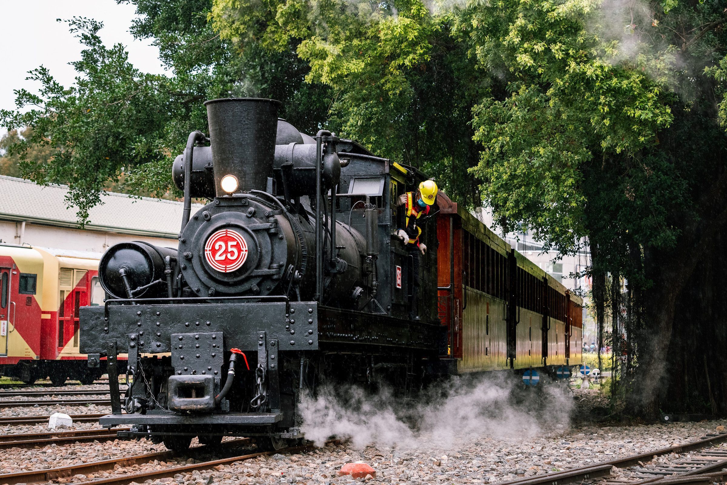 Alishan Forest Railway steam locomotive