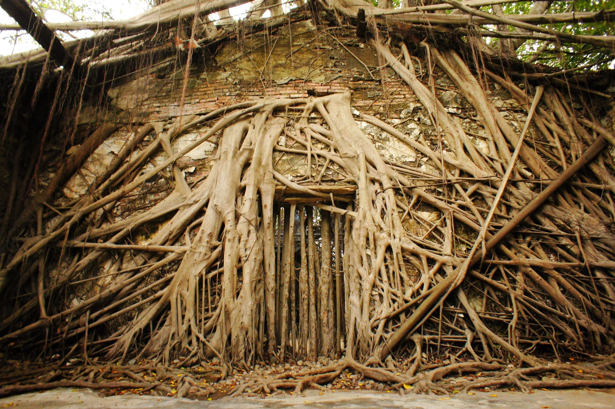 Anping Tree House, Tainan
