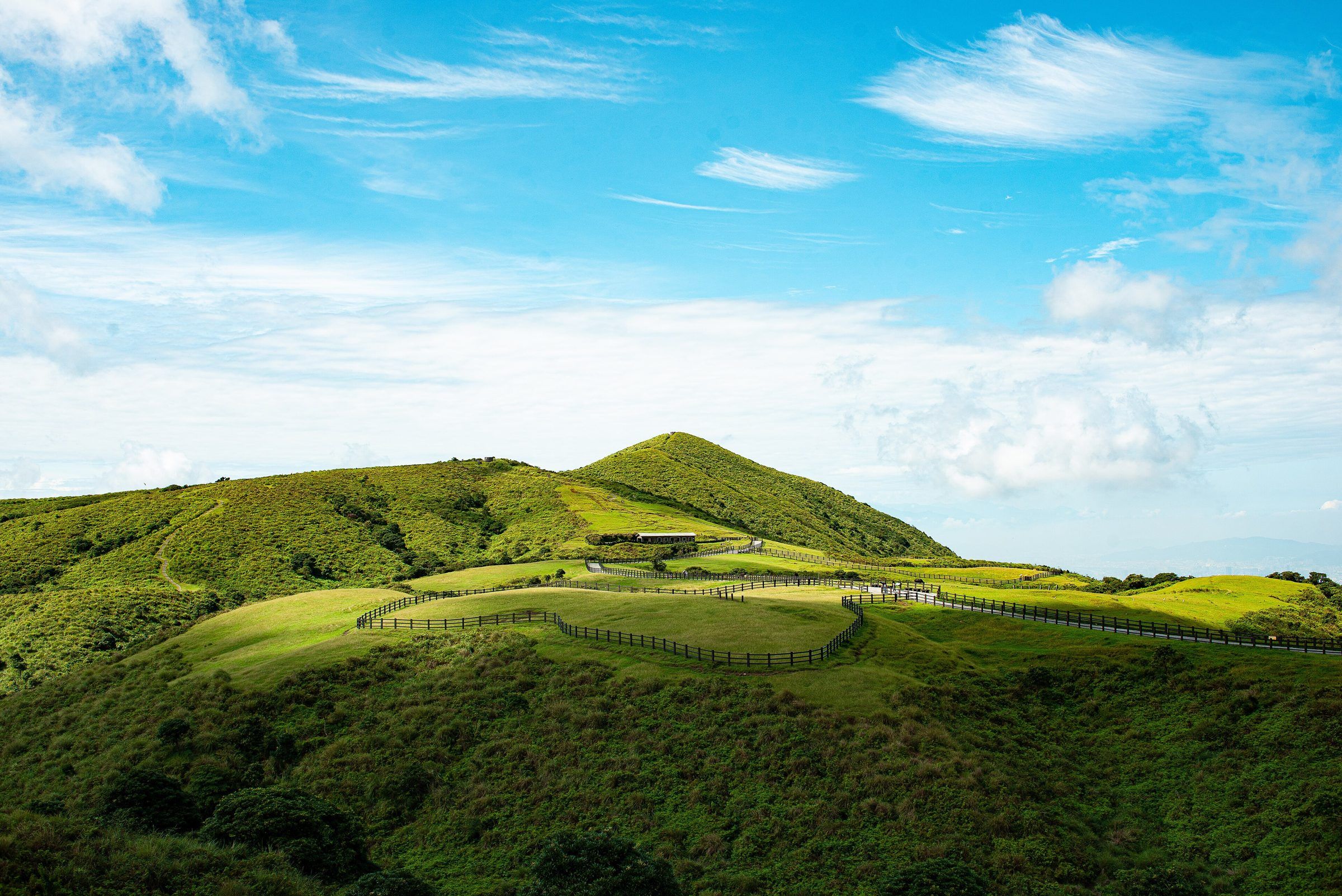 Grassland in Yangmingshan National Park, Taipei